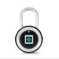 Fingerprint Padlock Intelligent Lock Dormitory Locker Warehouse Door Security Lock Outdoor Remote Authorization Password Padlock