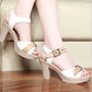 Ladies Roman Fish Mouth With Thick Heel Sandals Buckle High Heel Wild Sandals