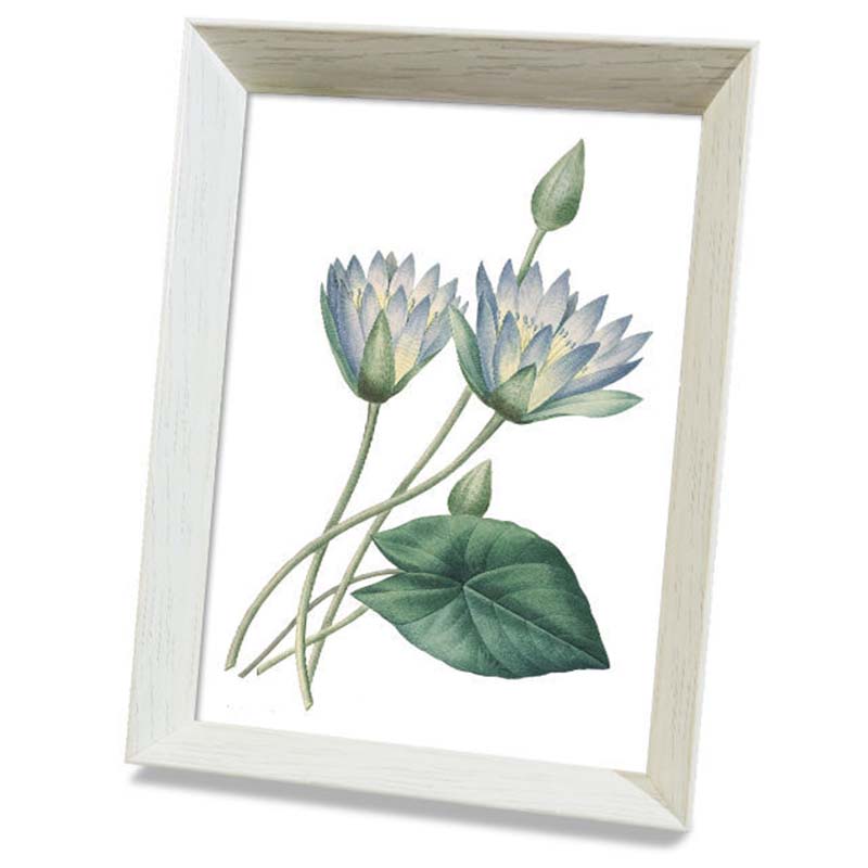 Framed Cross Stitch DIY Hand-woven Thread Embroidery Simple Modern Flower Simple Embroidery Living Room Bedroom Decoration