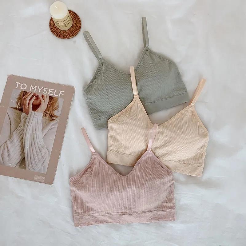 Ladies No Steel Ring Gathered Underwear Female Students Korean Version Camisole Tube Top with Chest Pad  Brassieres Breathable Comfortable Solid Bra