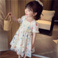 Girls Princess Dress Birthday Party Evening Dress Children Korean Style Foreign Butterfly Lace Dress Girl Puff Sleeve Dress