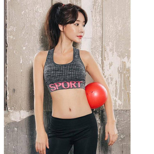 Cotton Sports Bra High Breathable Top Fitness Women Padded for Jogging Yoga Gym Seamless Crop Bra