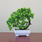 Fake Flower Potted Plant Decoration Living Room Bedroom Flower Arrangement Potted Plant Simulation Flower Set Bonsai Cabinet Decoration Decoration