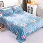 Winter Thick High-quality Double-sided Fleece Bed Sheet Flannel Blanket Coral Fleece Blanket Machine Washable