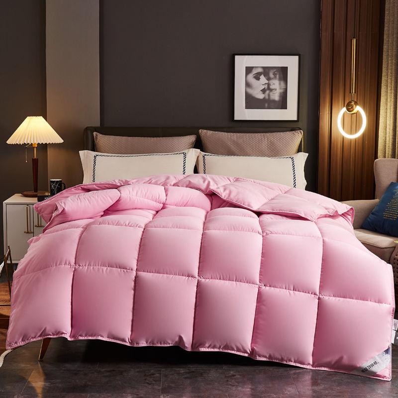 Winter Thick Warm Down Quilt Household Single Double White Goose Down Quilt Student Dormitory Four Seasons Universal Quilt