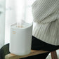 2300ml Double Nozzle Air Humidifier Night Light 24h USB Sprayer Silent Aroma Diffuser for Home Office