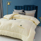 Four Seasons Thick Warm White Goose Down Winter Quilt Genuine Duvet Clearance Duck Down Air-conditioning Quilt Core