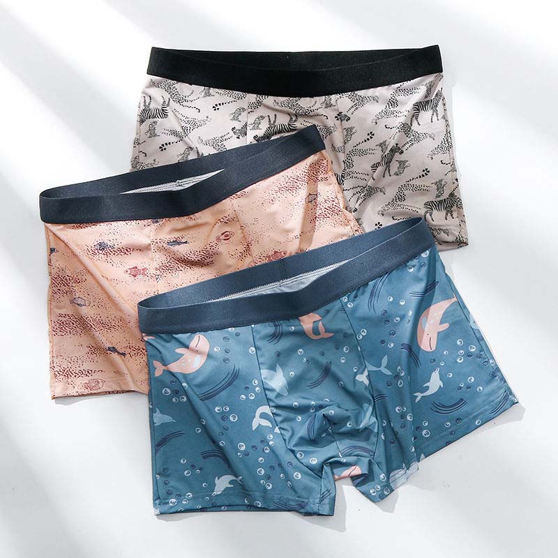 Summer Men's Underwear Ice Silk Trend Teen Personality Breathable Men's Shorts