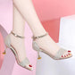 Sandals Women's Summer High Heels Women's Stiletto Strap All-match Sexy Cat Heel Rhinestone Women's Shoes