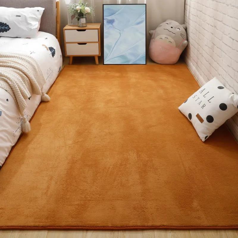 Coral Velvet Carpet Living Room Simple Modern Coffee Table Mat Bedroom Bedside Carpet