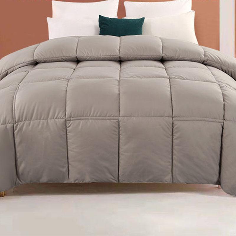 Thickened Warm Down Quilt Antibacterial Solid Color Large Quilt Household Bedding